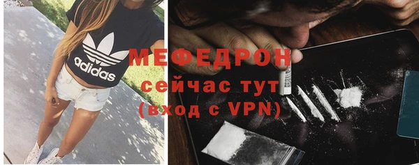 сатива Беломорск