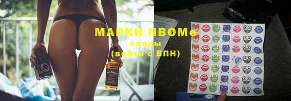 сатива Беломорск