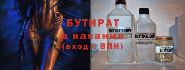 сатива Беломорск