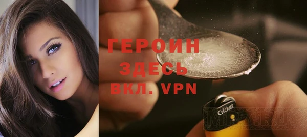 сатива Беломорск