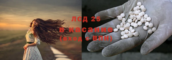 сатива Беломорск