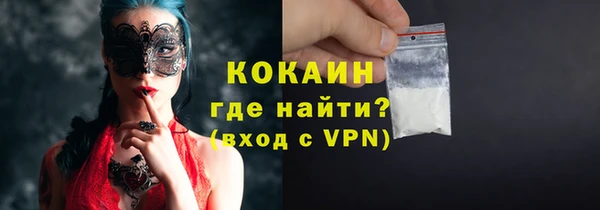 сатива Беломорск