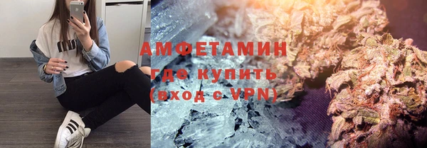 сатива Беломорск